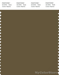 PANTONE SMART 19-0622X Color Swatch Card, Military Olive