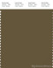 PANTONE SMART 19-0622X Color Swatch Card, Military Olive