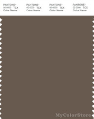 PANTONE SMART 19-0809X Color Swatch Card, Chocolate Chip