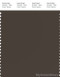 PANTONE SMART 19-0812X Color Swatch Card, Coffee