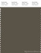 PANTONE SMART 19-0822X Color Swatch Card, Tarmac