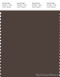 PANTONE SMART 19-0912X Color Swatch Card, Chocolate Brown