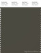 PANTONE SMART 19-0916X Color Swatch Card, Rain Drum