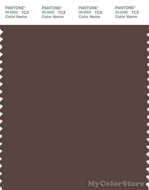 PANTONE SMART 19-1012X Color Swatch Card, Dark Brown