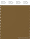 PANTONE SMART 19-1034X Color Swatch Card, Breen