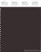 PANTONE SMART 19-1109X Color Swatch Card, Chocolate Torte