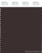 PANTONE SMART 19-1111X Color Swatch Card, Black Coffee
