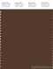 PANTONE SMART 19-1218X Color Swatch Card, Potting Soil