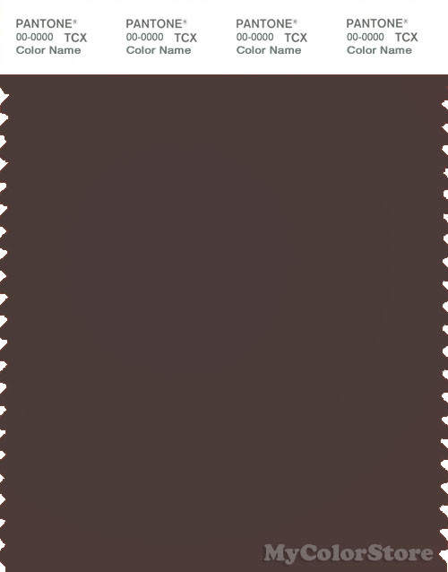 PANTONE SMART 19-1314X Color Swatch Card, Seal Brown