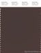 PANTONE SMART 19-1314X Color Swatch Card, Seal Brown