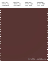 PANTONE SMART 19-1321X Color Swatch Card, Deep Red Brown