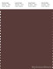 PANTONE SMART 19-1322X Color Swatch Card, Brown Stone