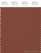 PANTONE SMART 19-1333X Color Swatch Card, Sequoia