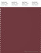 PANTONE SMART 19-1524X Color Swatch Card, Oxblood Red