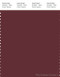 PANTONE SMART 19-1526X Color Swatch Card, Dark Red Brown