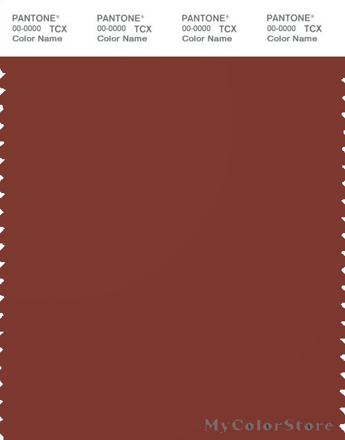 PANTONE SMART 19-1540X Color Swatch Card, Burnt Henna