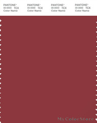 PANTONE SMART 19-1543X Color Swatch Card, Brick Red