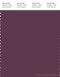 PANTONE SMART 19-1608X Color Swatch Card, Prune Purple