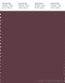 PANTONE SMART 19-1621X Color Swatch Card, Catawba Grape