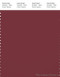 PANTONE SMART 19-1629X Color Swatch Card, Ruby Wine