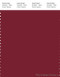 PANTONE SMART 19-1652X Color Swatch Card, Rhubarb