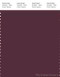 PANTONE SMART 19-1718X Color Swatch Card, Fig