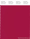 PANTONE SMART 19-1860X Color Swatch Card, Persian Red