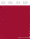 PANTONE SMART 19-1862X Color Swatch Card, Jester Red