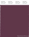 PANTONE SMART 19-2014X Color Swatch Card, Prune