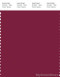 PANTONE SMART 19-2030X Color Swatch Card, Beet Red