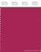 PANTONE SMART 19-2041X Color Swatch Card, Cherries Jubilee