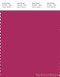 PANTONE SMART 19-2045X Color Swatch Card, Vivacious