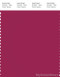 PANTONE SMART 19-2047X Color Swatch Card, Sangria