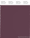 PANTONE SMART 19-2311X Color Swatch Card, Eggplant
