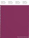 PANTONE SMART 19-2431X Color Swatch Card, Boysenberry