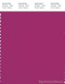PANTONE SMART 19-2434X Color Swatch Card, Festival Fuchsia