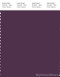 PANTONE SMART 19-3323X Color Swatch Card, Deep Purple