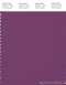 PANTONE SMART 19-3325X Color Swatch Card, Wood Violet