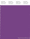 PANTONE SMART 19-3438X Color Swatch Card, Bright Violet