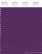 PANTONE SMART 19-3528X Color Swatch Card, Imperial Purple