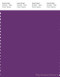 PANTONE SMART 19-3540X Color Swatch Card, Purple Magic