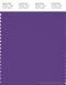 PANTONE SMART 19-3642X Color Swatch Card, Royal Purple