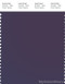 PANTONE SMART 19-3720X Color Swatch Card, Gothic Grape