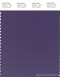 PANTONE SMART 19-3722X Color Swatch Card, Mulberry Purple