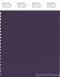 PANTONE SMART 19-3725X Color Swatch Card, Purple Velvet