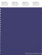 PANTONE SMART 19-3832X Color Swatch Card, Violet Bloom