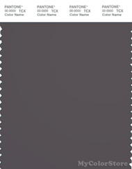 PANTONE SMART 19-3900X Color Swatch Card, Pavement