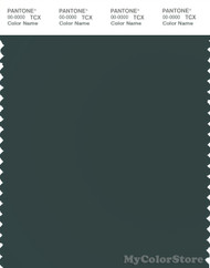 PANTONE SMART 19-4906X Color Swatch Card, Green Gables