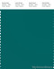 PANTONE SMART 19-4922X Color Swatch Card, Teal Green