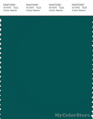 PANTONE SMART 19-5217X Color Swatch Card, Storm